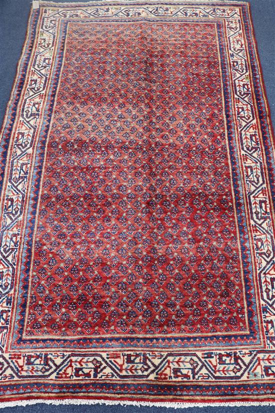 An Araak red, blue and cream ground rug, 200 x 127cm